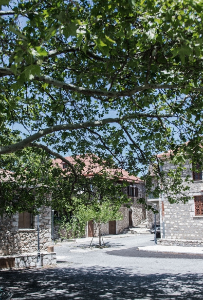 Ζυγοβίστι thumbnail