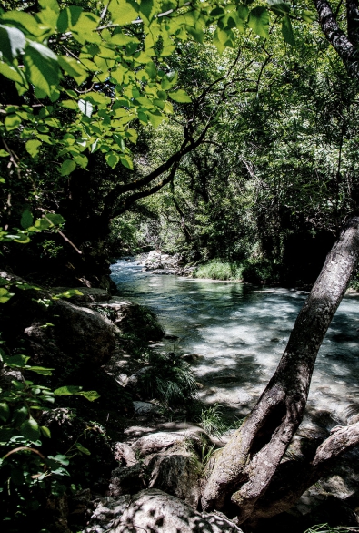 Το Φαράγγι και η Φύση thumbnail