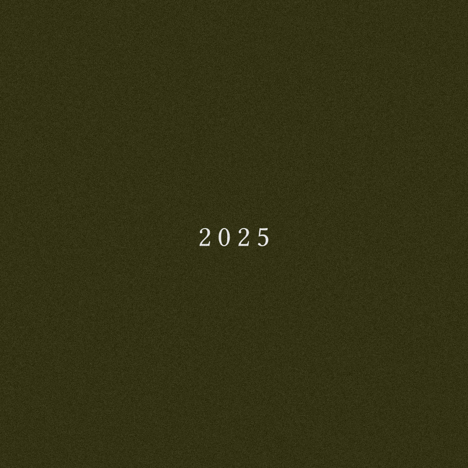 Επιτυχόντες 2025